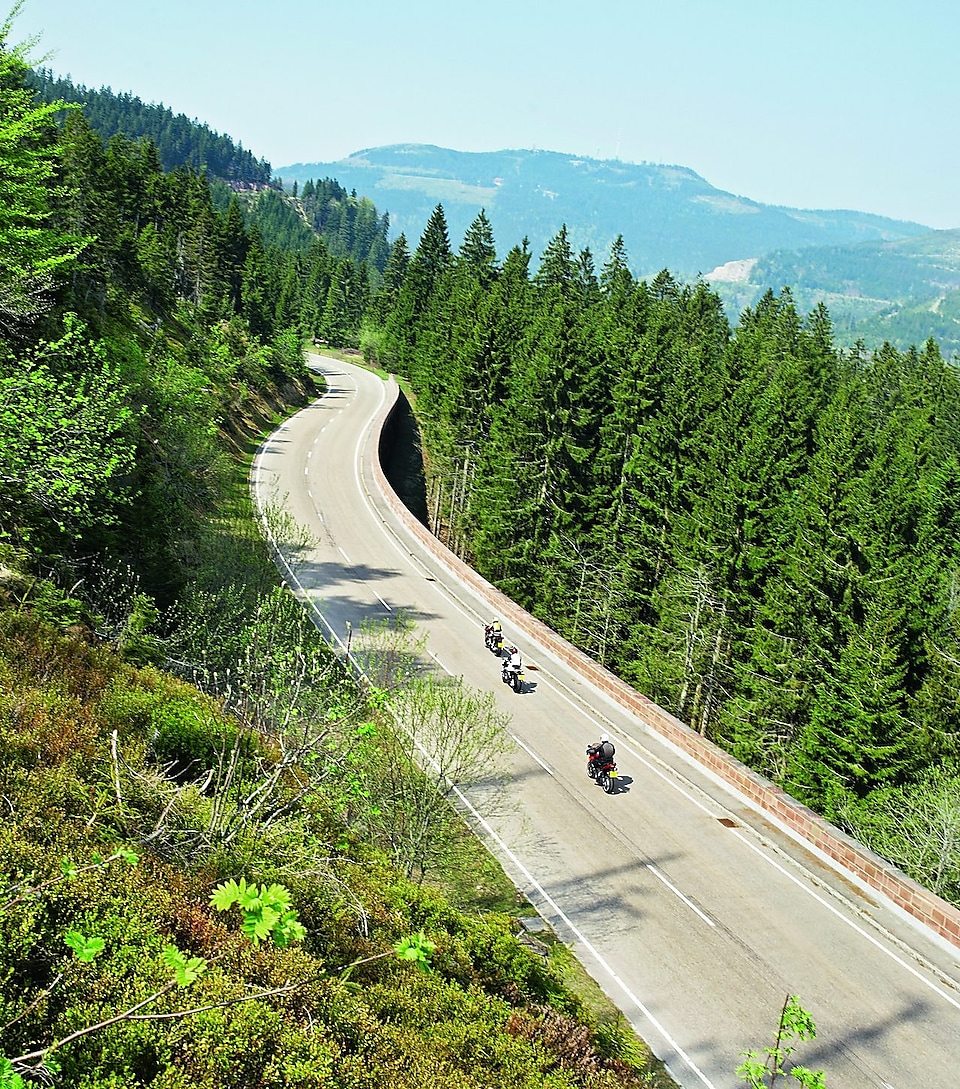 Tre motorcyklar som kör längs en landsväg kantad av träd